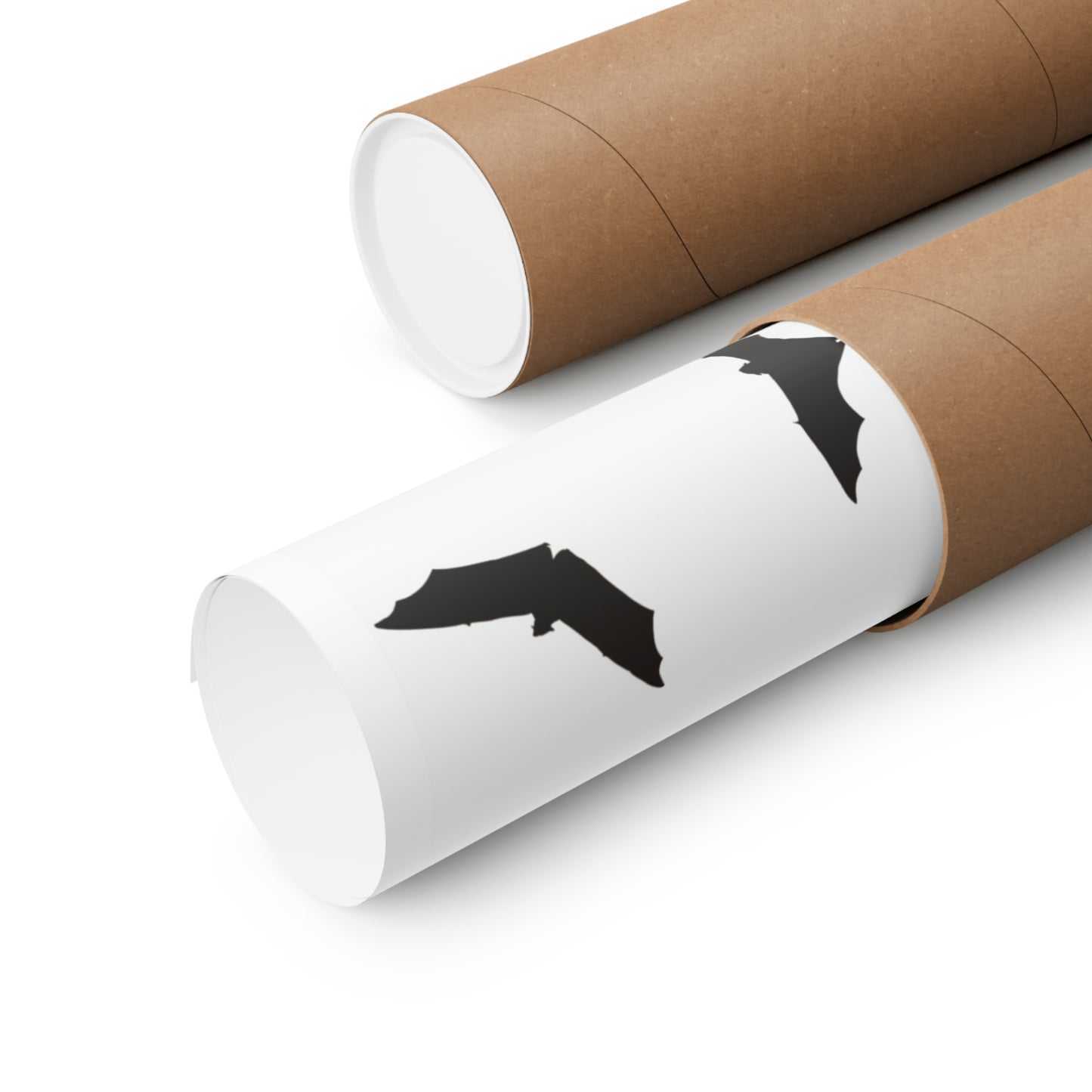 Bats poster rolled inside a mailing tube