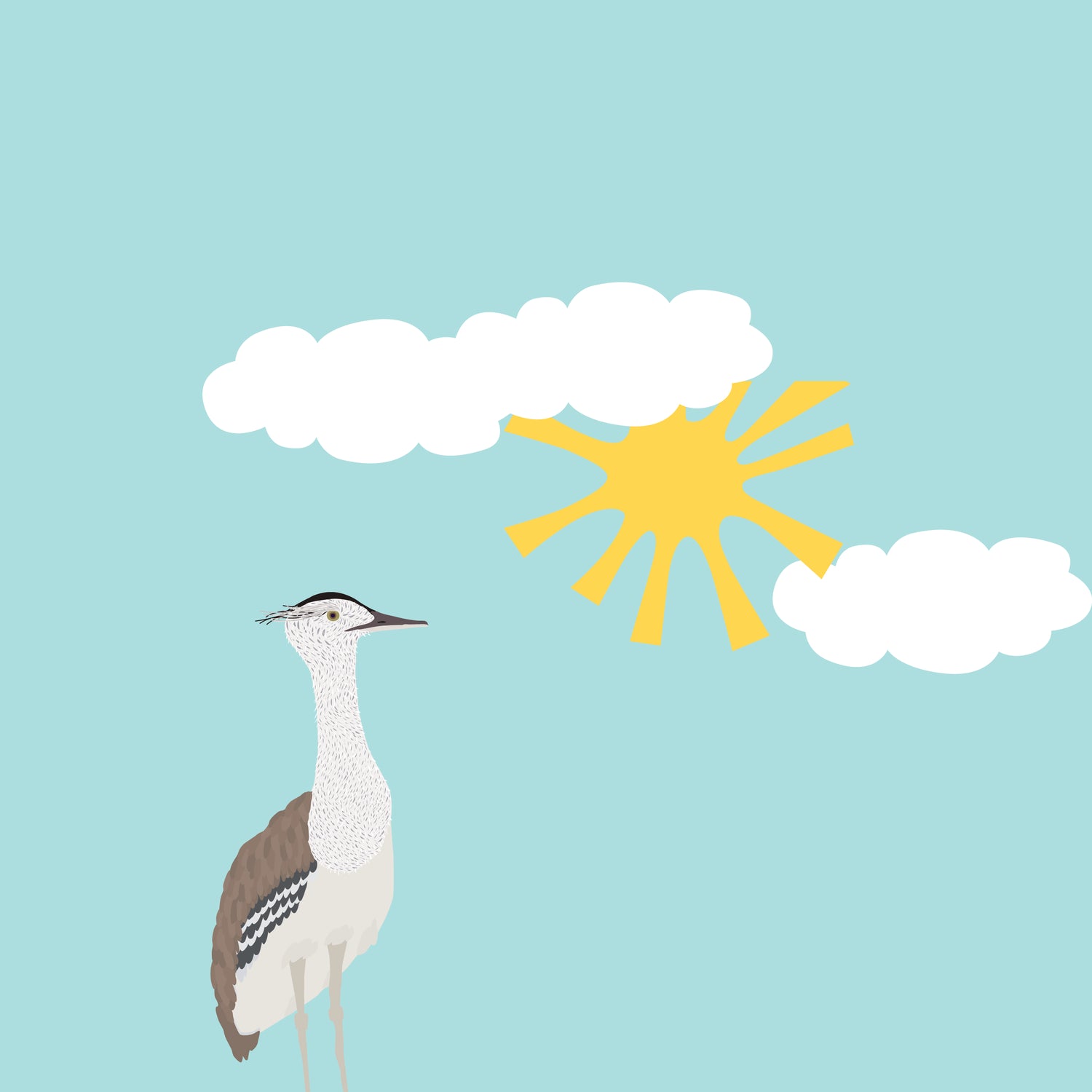 Bird with a sun and a teal background
