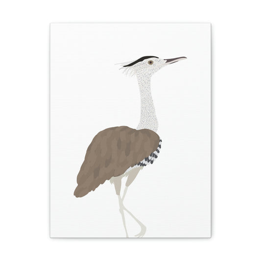 Front Facing View of Bustard Bird Print White Background 12 by 16 Inches