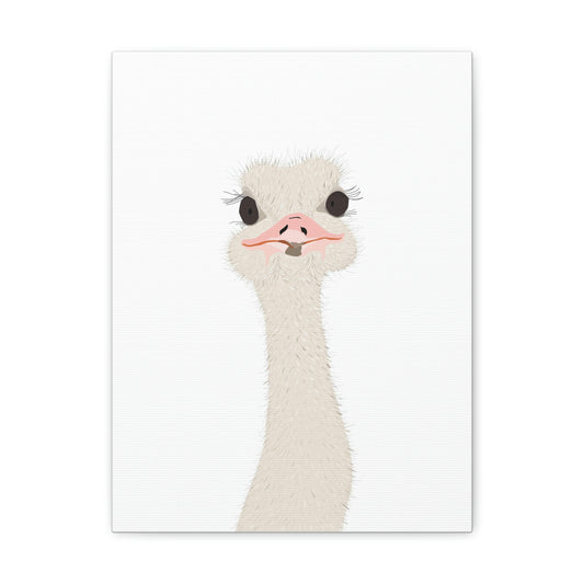 Front Facing View of Ostrich canvas with White Background 12 by 16 Inches